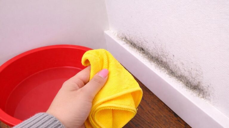 10 kroków, aby Twój dom był zawsze bez skazy – odkryj skuteczne metody!