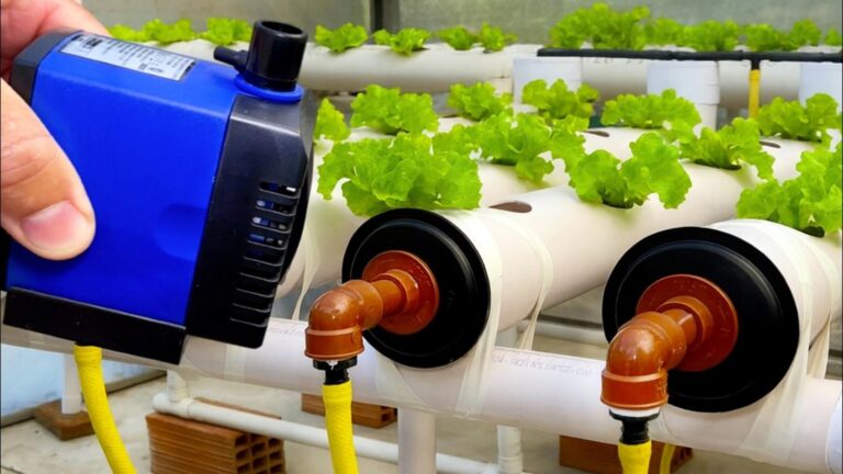 7 kroków do stworzenia łatwego systemu hydroponicznego w domu