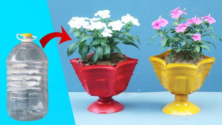 10 kreatywnych pomysłów na doniczki z plastikowych butelek, które zachwycą każdego!