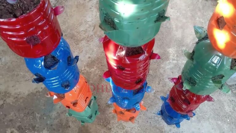 5 inspirujących sposobów na uprawę pięknych warzyw w plastikowych butelkach!
